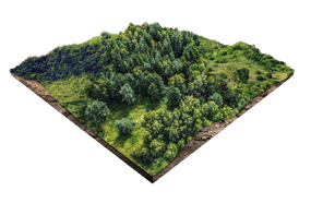 TERRENO 1